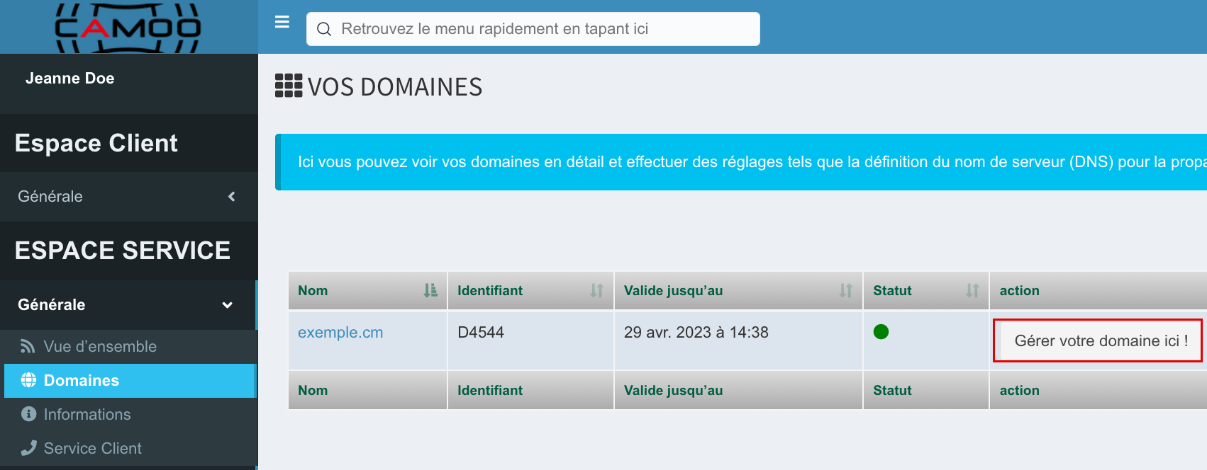 Activer_le_WhoIs_chez_Camoo_Hosting1.png