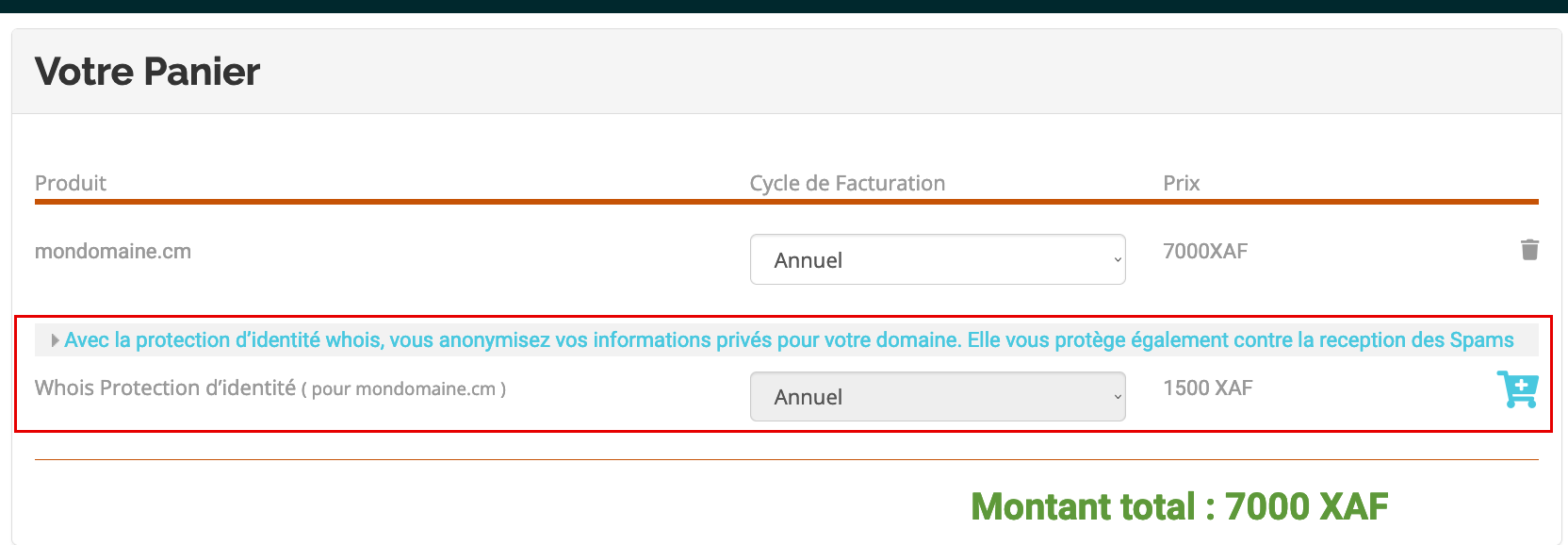 Achat-Nom-de-domaine.png